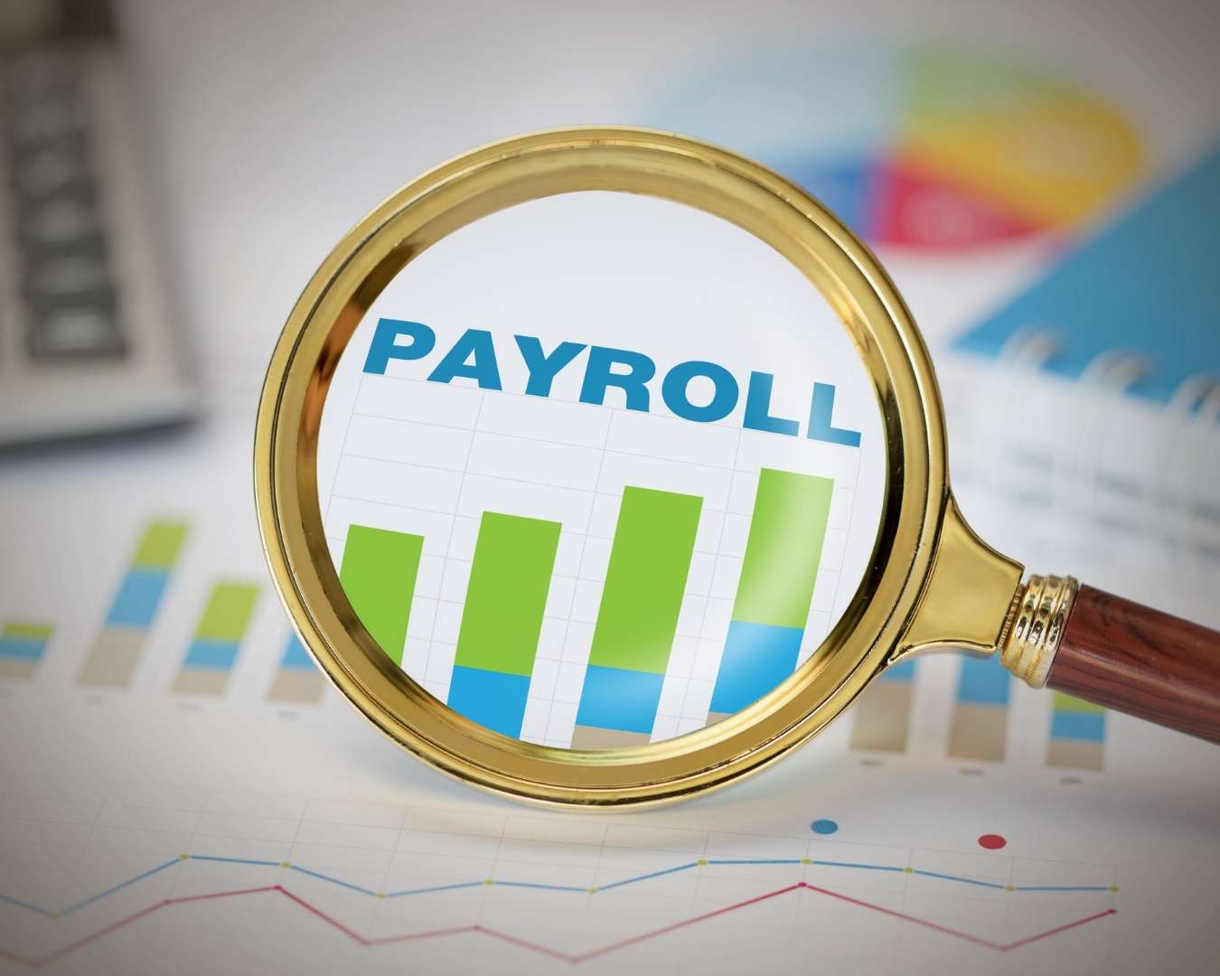 Professional payroll services